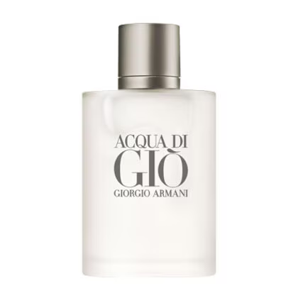 Giorgio Armani Acqua Di Gio Pour Homme EDT 100ml